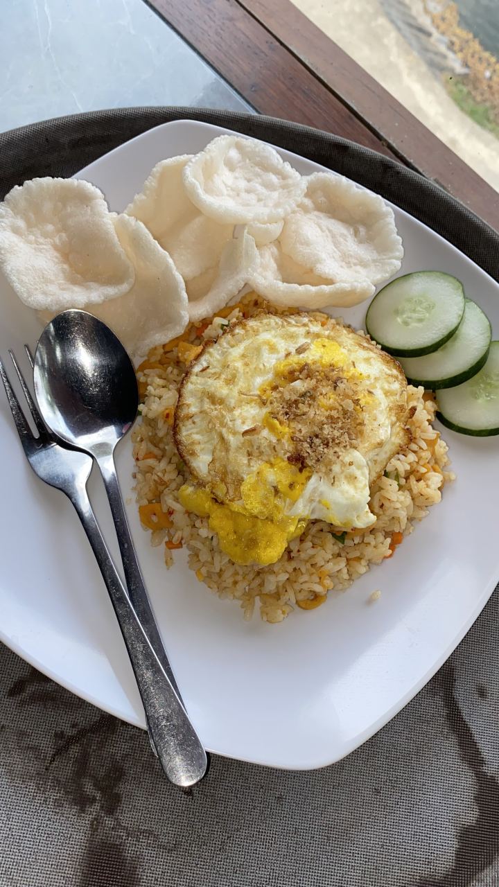 NASI GORENG BIASA
